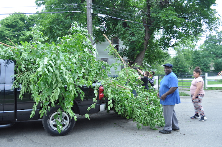 Taking out trees from Ada Street.