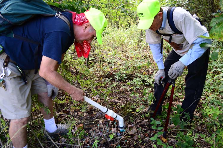 Volunteers treat invasive species at Warren State Park. Photo by Mark Wedel.
