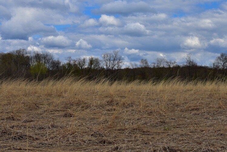 Whispering winds sway the majestic prairie grasses at Hidden Pond.