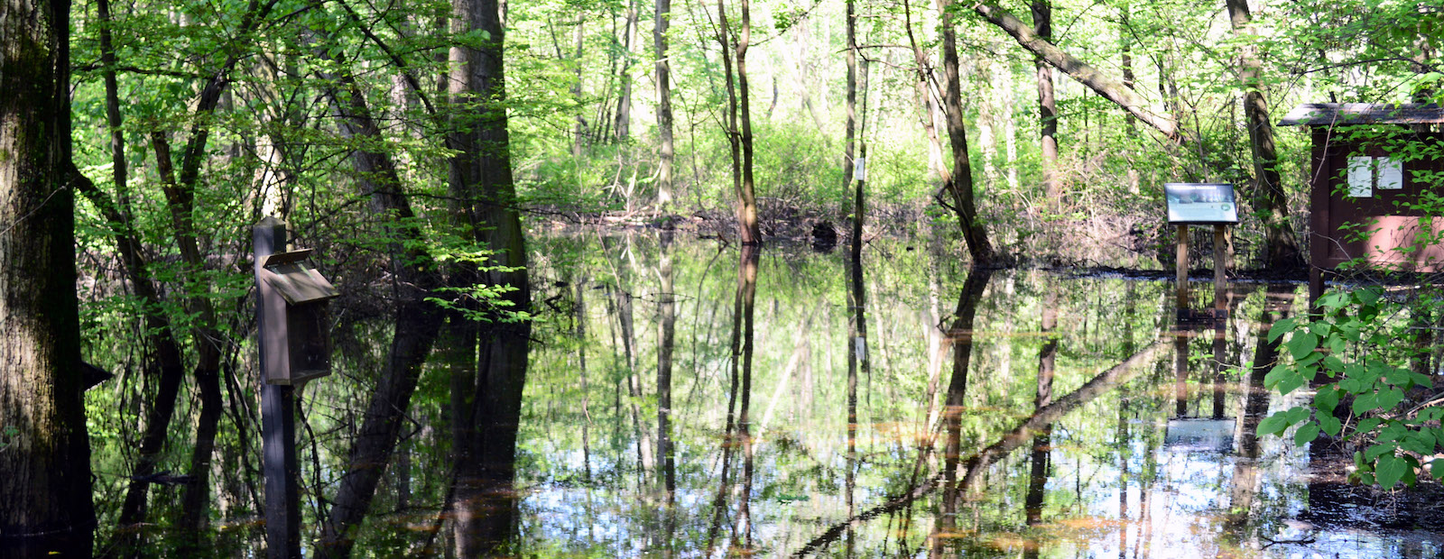 The flooded area of Grand Mere State Park.