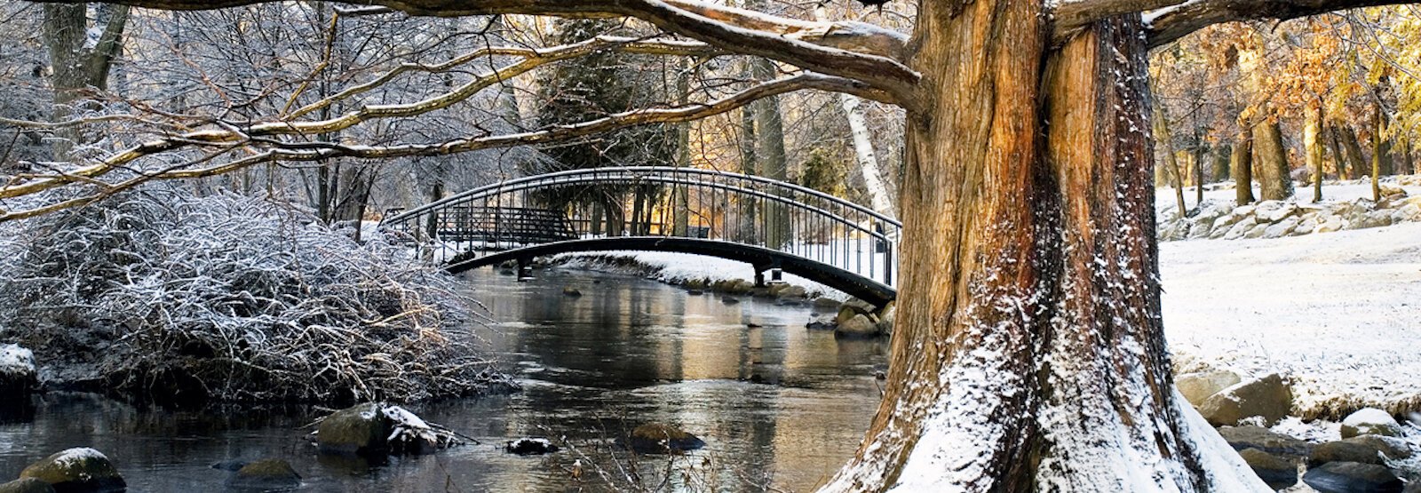 Winter at Milwood Park