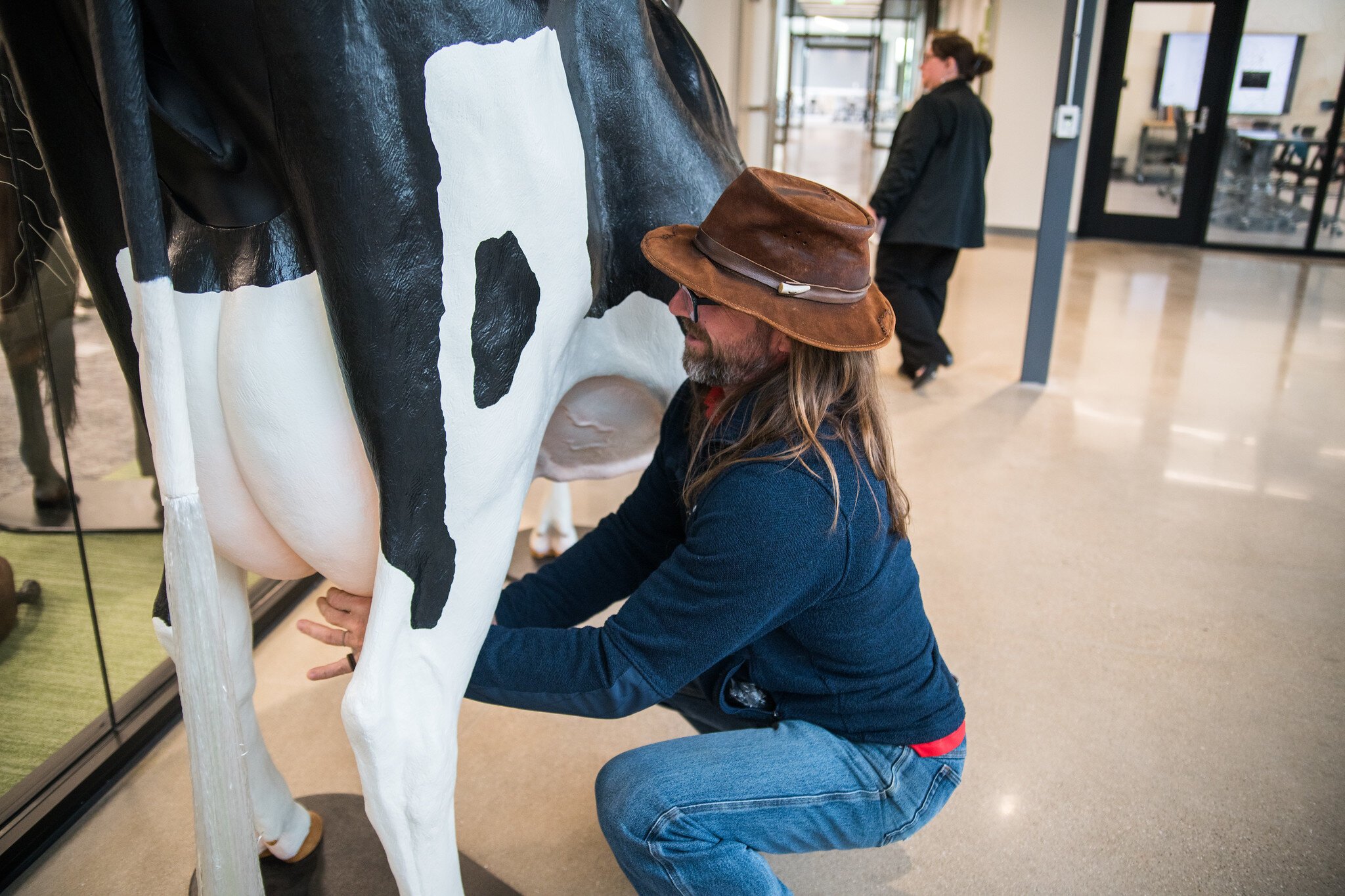 A model cow and curious visitor outside the KRESA Career Connect Center