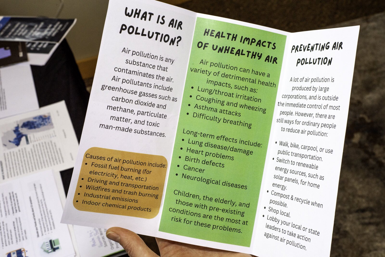 An informational brochure on air quality designed by local youth artist, Hannah Boothby
