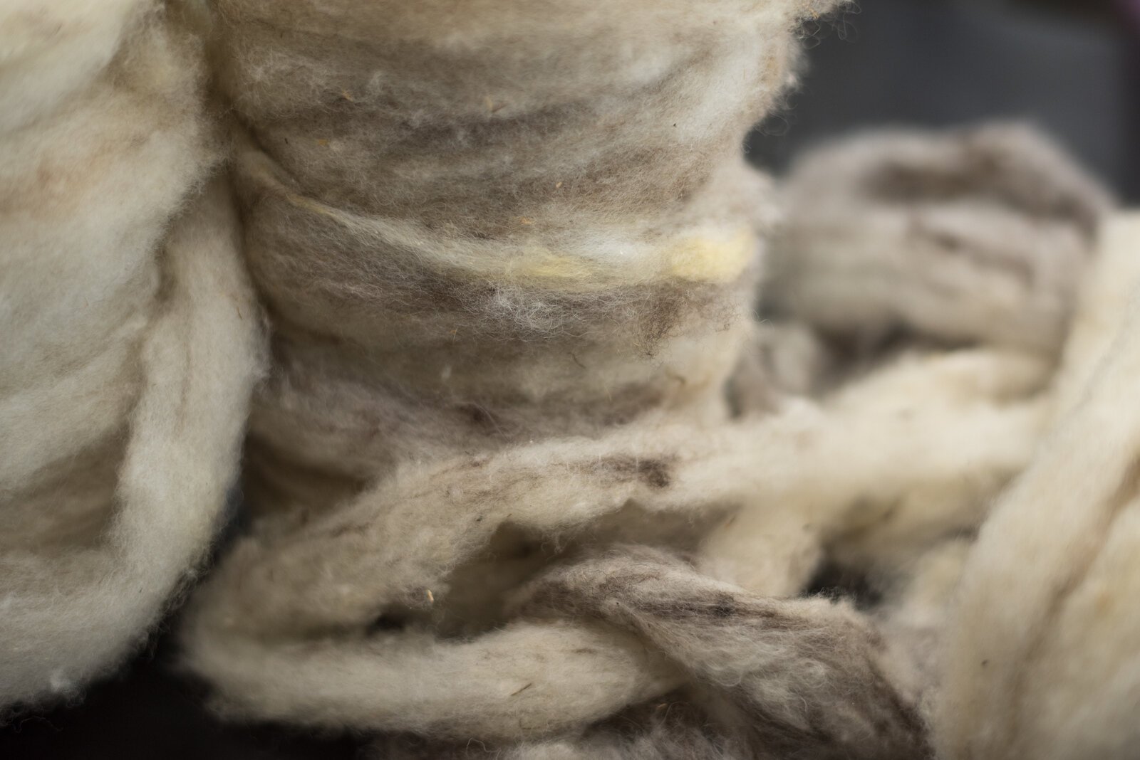 Wool used in the woolery comes from the SHALOM farm animals.
