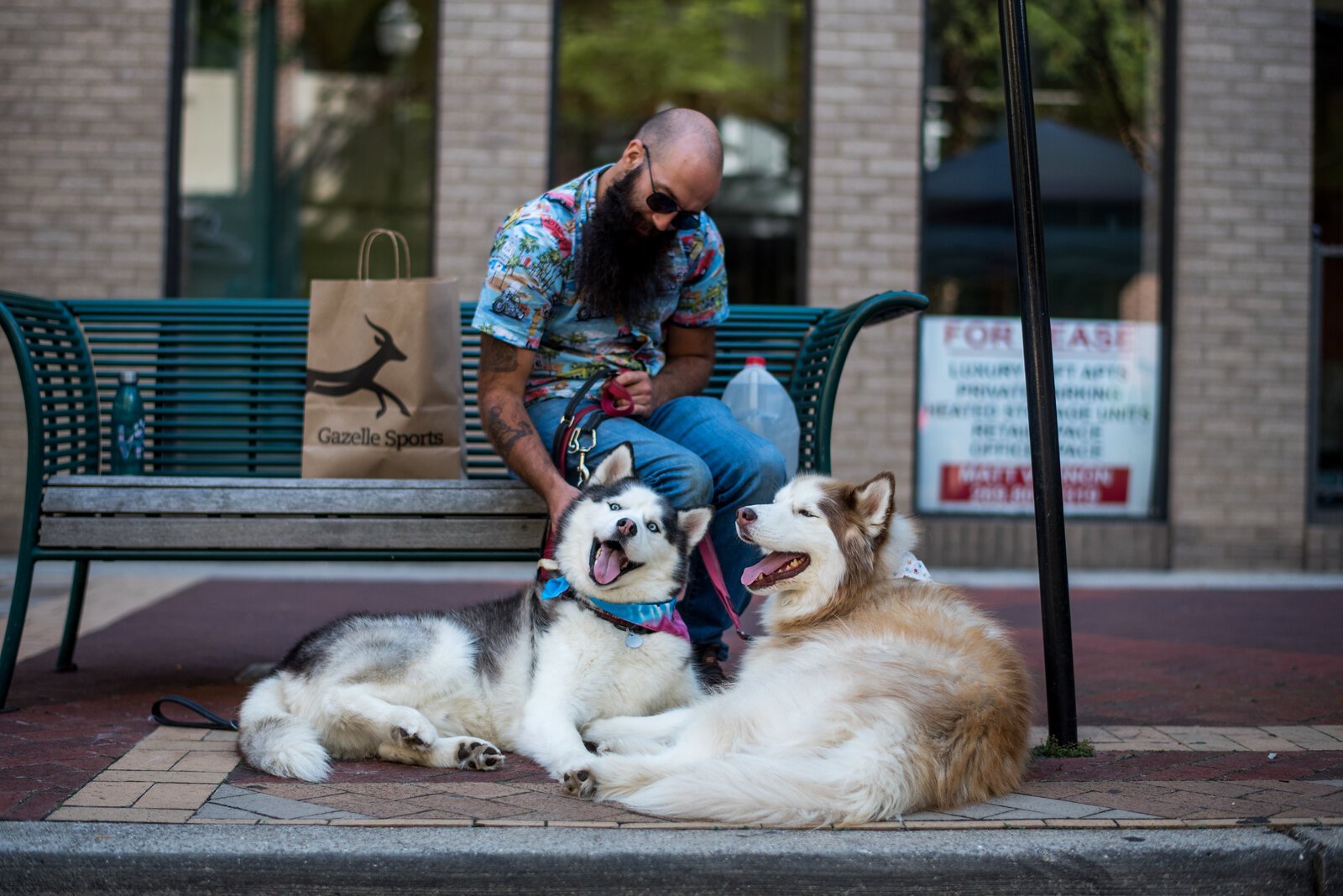 Two adult male rescue dogs visit with volunteer Simon Limback during Dogs in the Zoo, sponsored by Downtown Kalamazoo Shops.