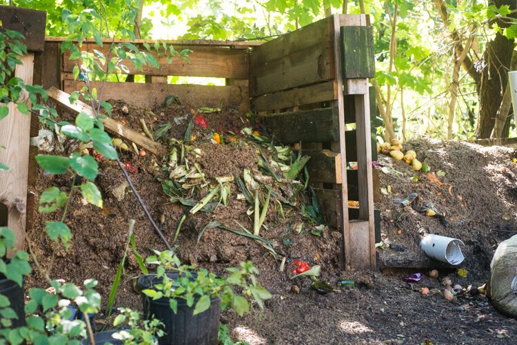 Bicycle Businesses In Kalamazoo S Vine Ice Cream Compost And