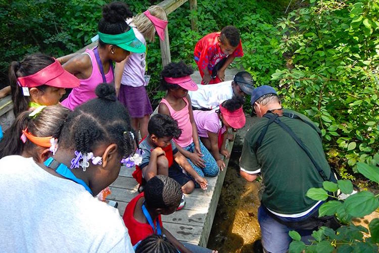 Learning science with EASEL at Bow in the Clouds Preserve.