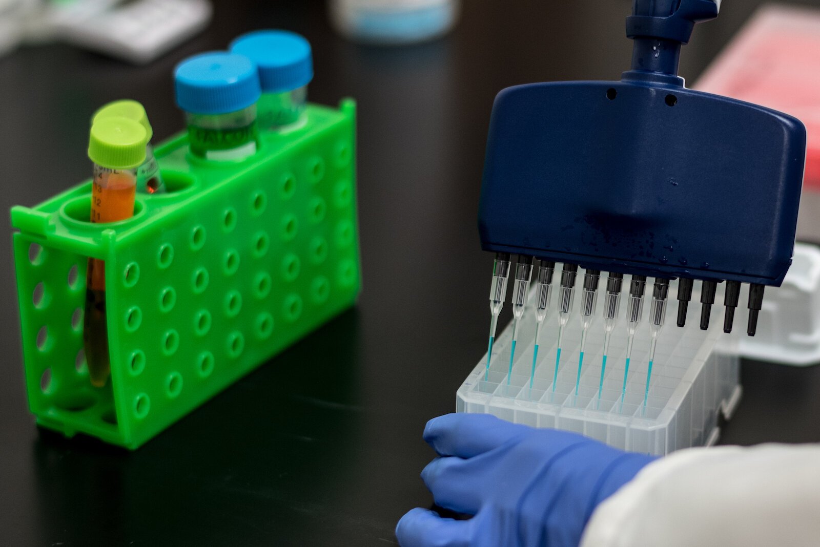 Alyson Rembowicz, técnico superior de laboratorio en Genemarkers, demuestra cómo los científicos tratan las muestras de ADN con un agente de prueba para ayudarles a identificar segmentos específicos de ADN.