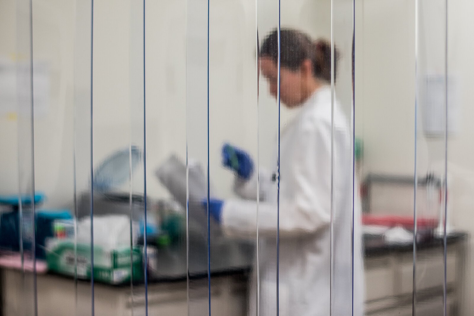 Detrás de una cortina de plástico en una sala de laboratorio de Genemarkers en Kalamazoo Alyson Rembowicz, Técnico Superior de Laboratorio, comprueba la información sobre las muestras de ADN enviadas para las pruebas farmacogenómicas.