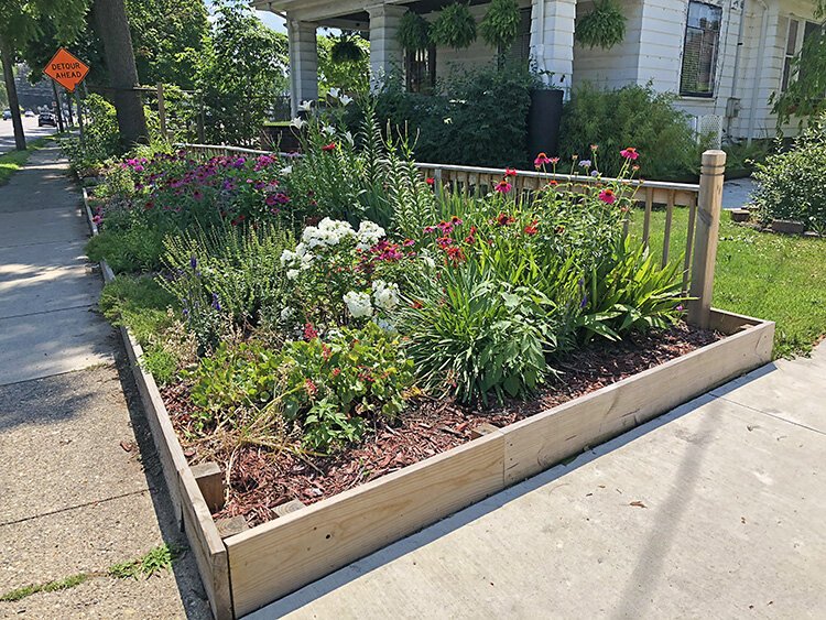 Many flower gardens are seen in Edison, even along busy thoroughfares. This is in the 1600 block of Portage St.