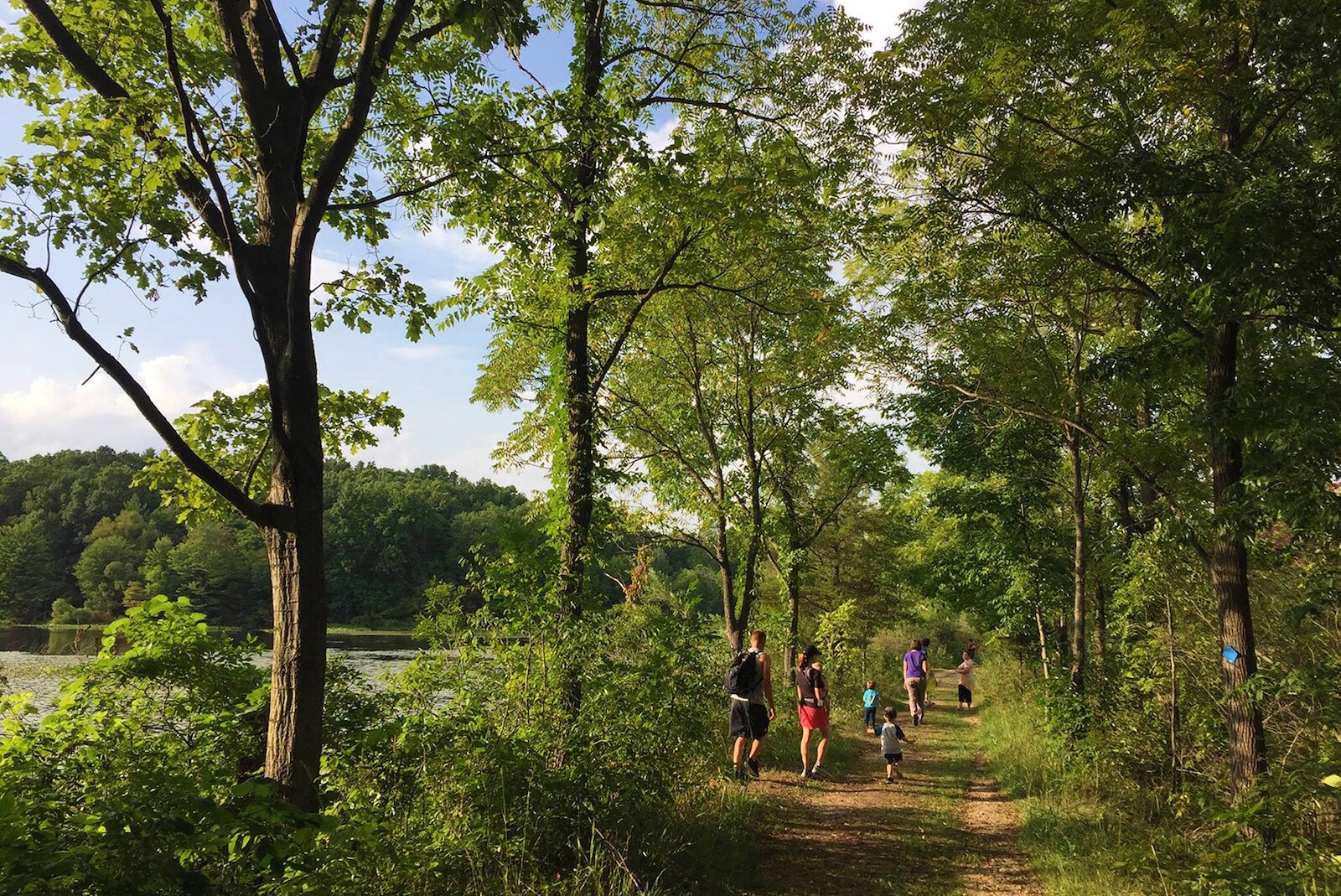 Southwest Michigan Land Conservancy's Nature Preserves have of space to your distance