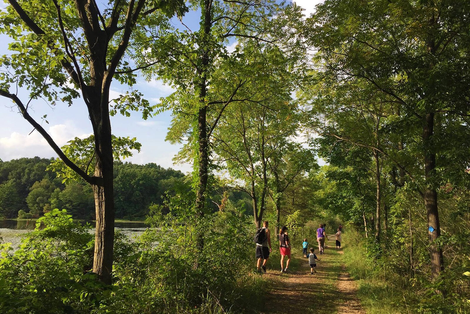 Portman Nature Preserve in Paw Paw is one of SWMLC’s newer nature preserves and offers 189 acres of natural wonder.
