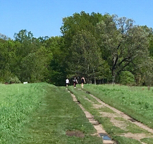 Walkers head into the trails of the Asylum Lake Land Preserve walking east from Drake Road.