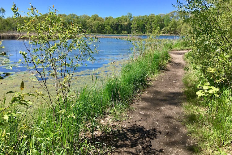 A view of Asylum Lake.