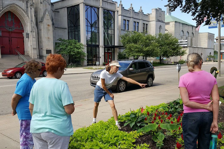 CJ Drenth works with volunteers to plant the lush Bronson Park gardens each spring for Kalamazoo in Bloom.