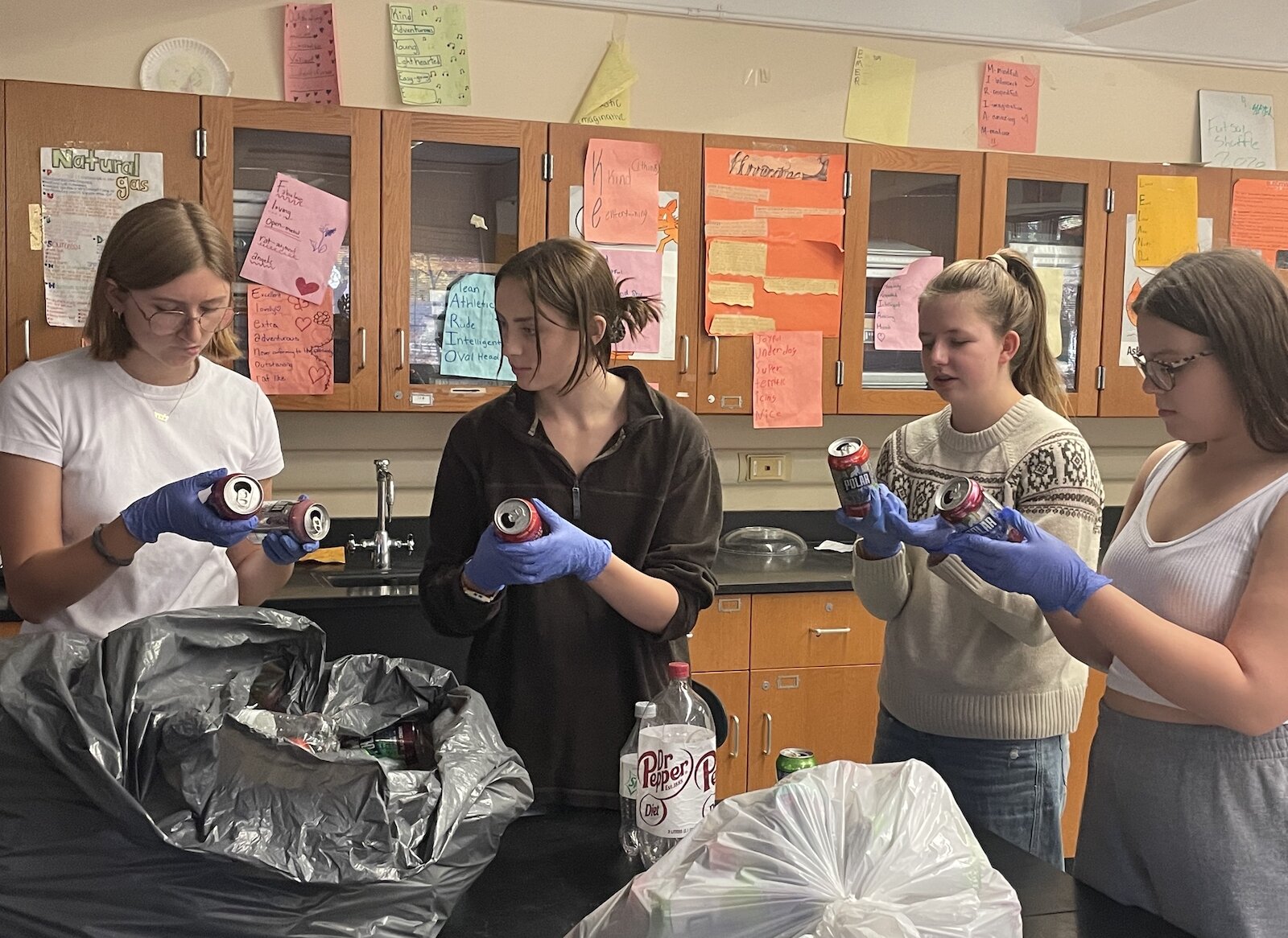 Students in Green School Club at Loy Norrix club actively engage in a variety of activities from community gardens, garbage cleanup, lobbying, renewable energy, recycling, and habitat construction. 