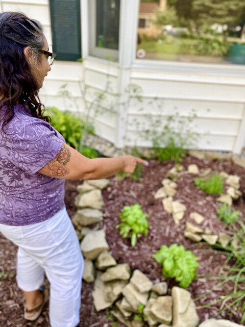 Jaishree Frank and her husband Brad decided to till the  curb lawn in front of their home to share herbs she was growing in their backyard.