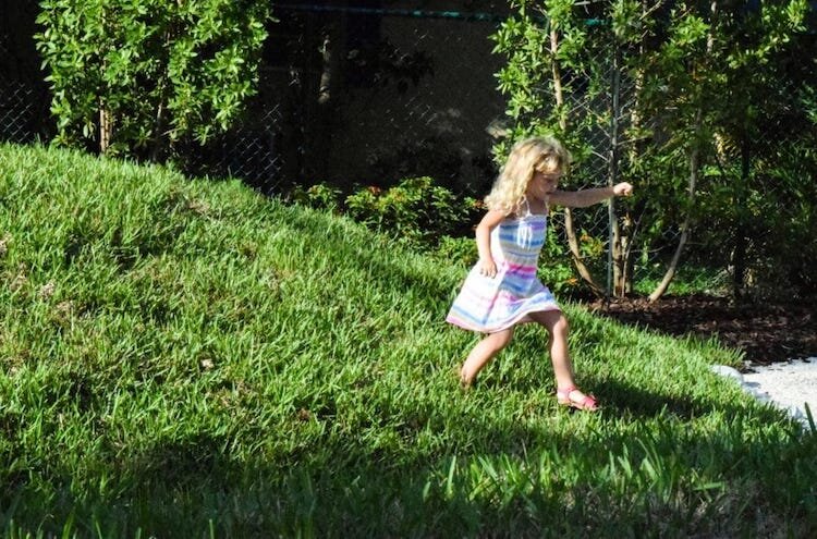 Grassy hills will be included at Children's Nature Playscape.