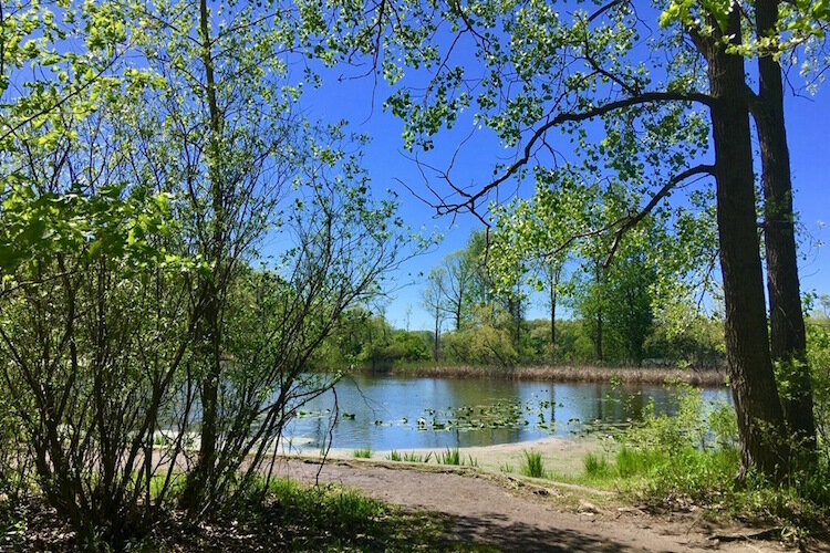 Asylum Lake is a 274-acre preserve, which is a refuge for birds and small wildlife, and a greenspace for public enjoyment.