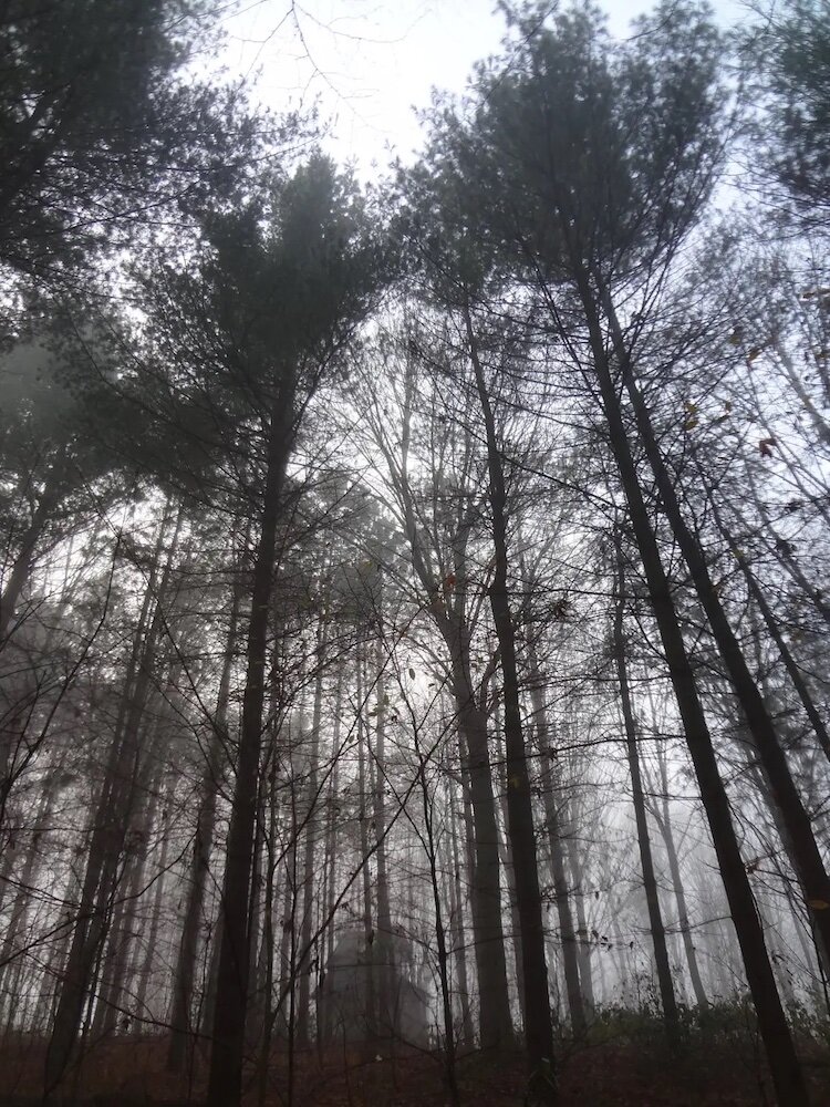 Scenes from Z Acres