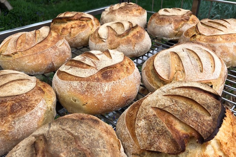 An email goes out telling what kind of bread will be for sale that week.