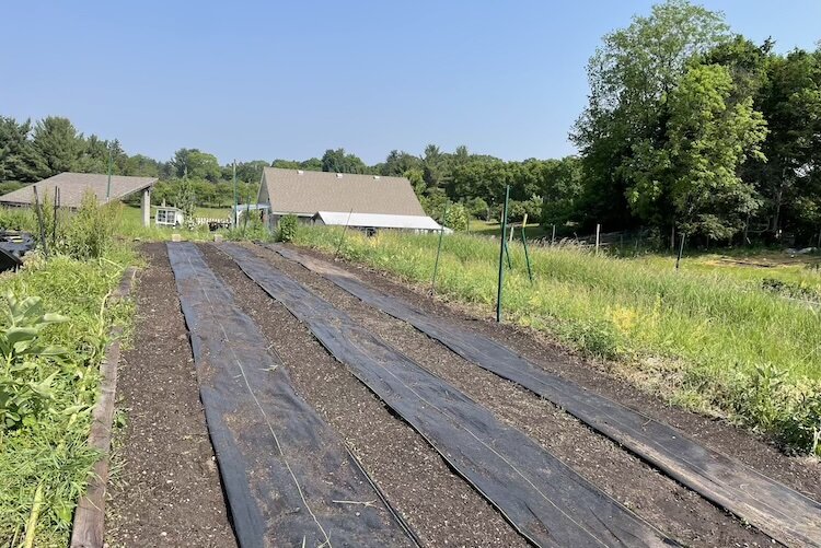 he Masa Center's Milpa project is located at Lelia Arboretum's 365 Urban Farm.