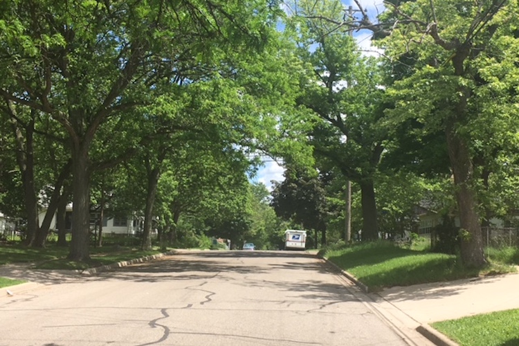 The Eastside streets are made for walking with their ample shade and plentiful views.