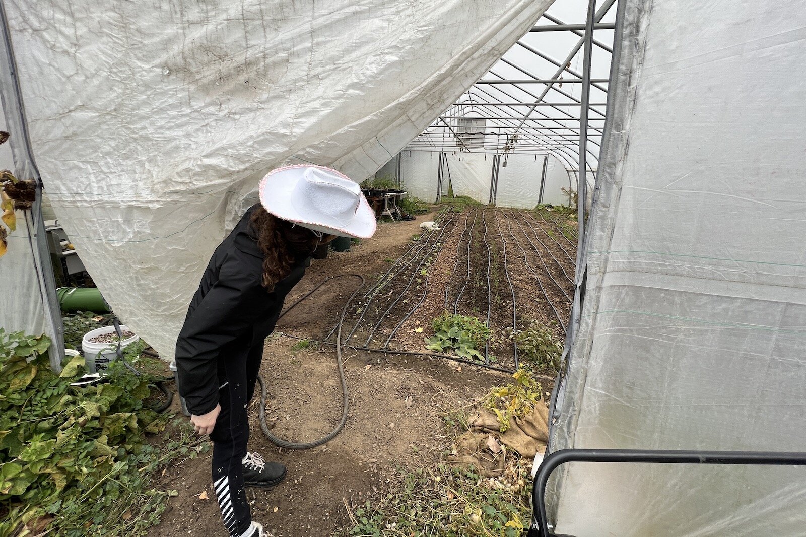 Gibbs Permaculture Research and Demonstration Site  Currently features student projects include vermicomposting demonstration, aerated composting, pollinator way-stations and more. 