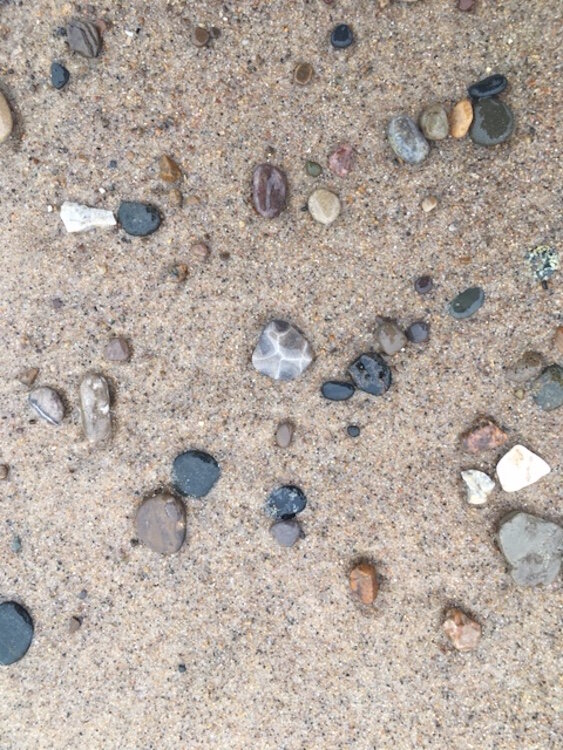 Rock hunting is a favorite pastime of beachgoers headed to Lake Michigan.