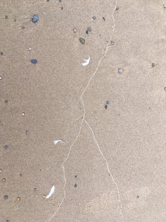 Rocks and designs on the beach