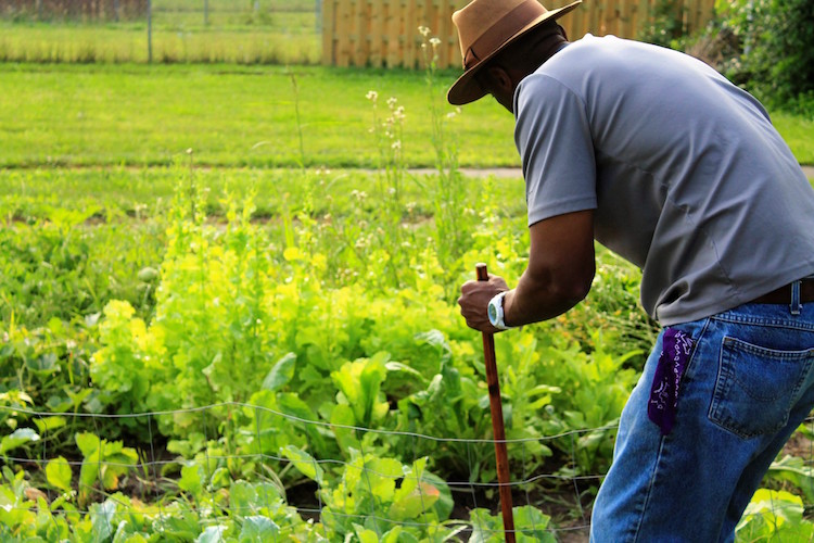 James Pitts grows enough product to share with his neighbors.