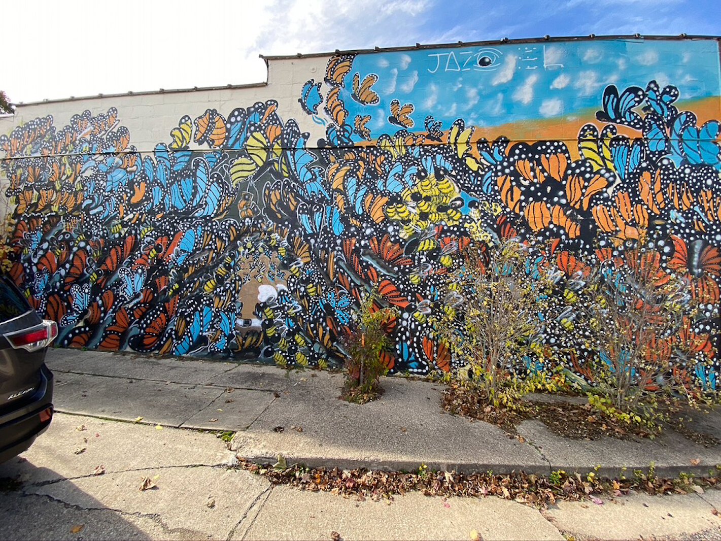 Jaziel Pugh's butterfly mural was painted 2017 and can be found at 20th Street and Territorial Road.