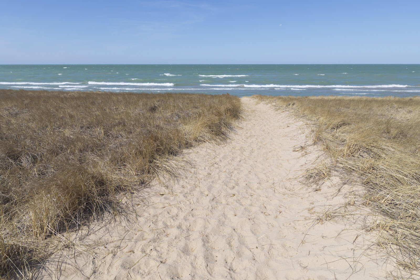 Another path at Jean Klock Park in Benton Harbor.