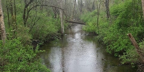 The Kal-Haven Trail crosses several scenic streams, including this one at the Van Buren-Kalamazoo county line.