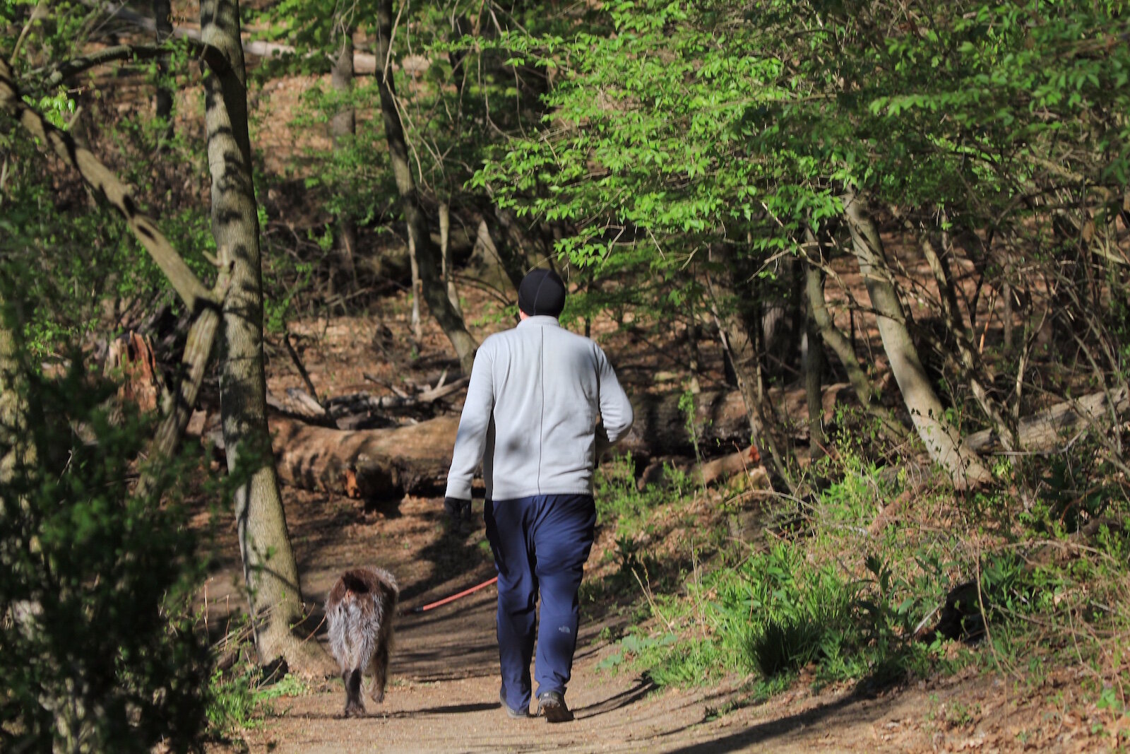 Use of the trail around the Marsh trail in the Klenstuck Preserve has grown significantly as people try to find natural places to safely distance themselves during the COVID-19 outbreak. 