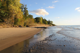 Pilgrim Haven Shoreline