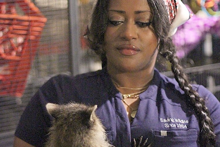 Wildlife Rehabilitator