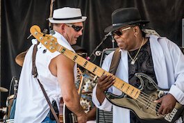 Blues in the Zoo
