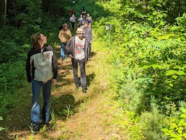 Armintrout-Milbocker Nature Preserve