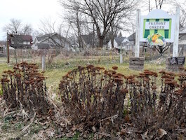 On the Ground Battle Creek Gardens