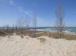 Beach Erosion Website