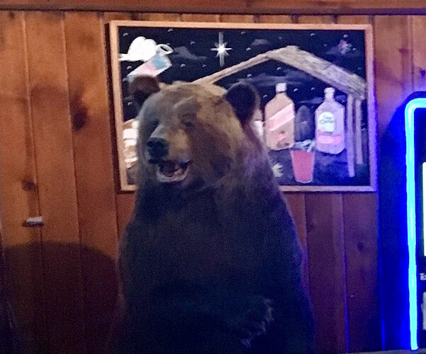 Among the trophies inside Louie’s Trophy House are the stuffed brown bear at the rear of the main bar area as well as sports trophies from various sports teams supported by the business.