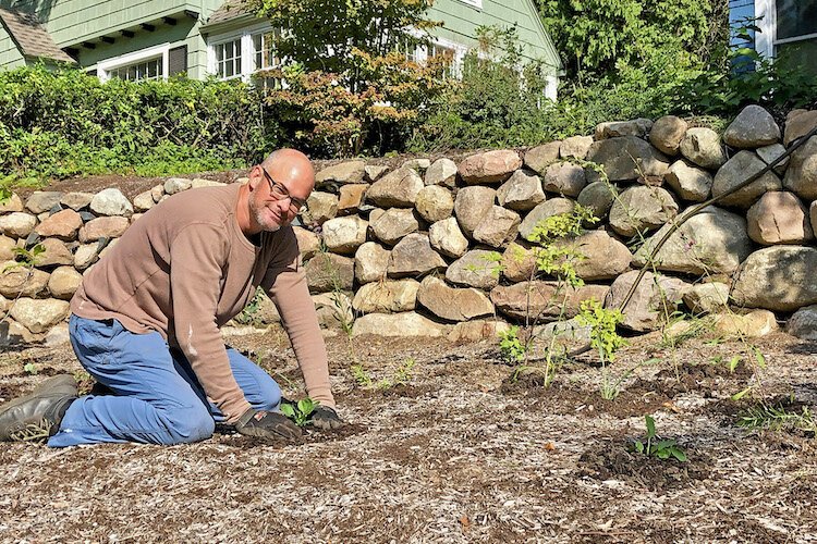 Mike Weis of Dropseed Native Gardens and Ecological Restoration  starts to install a native garden at a Kalamazoo home.