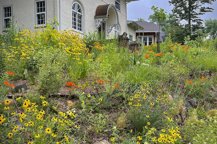 Backyard beekeeping now allowed in Urbandale after city code changed