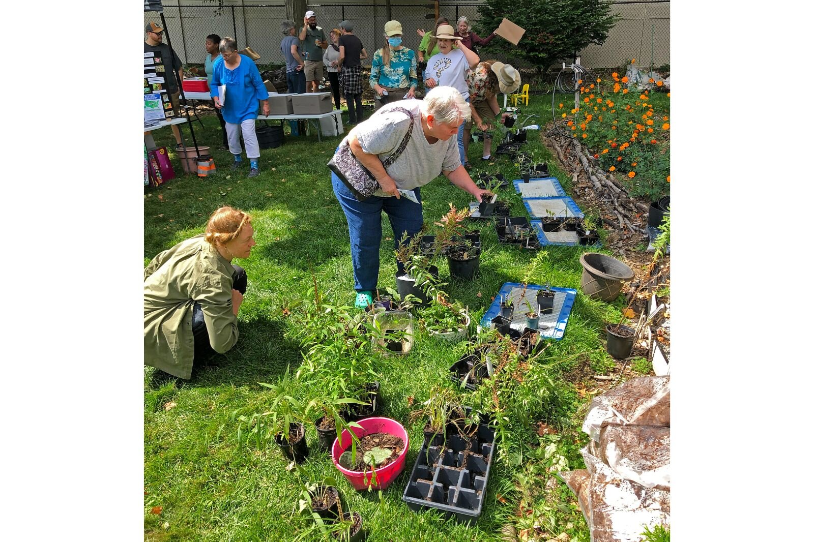 The Kalamazoo Area Chapter of Wild Ones held a plant exchange in September. 