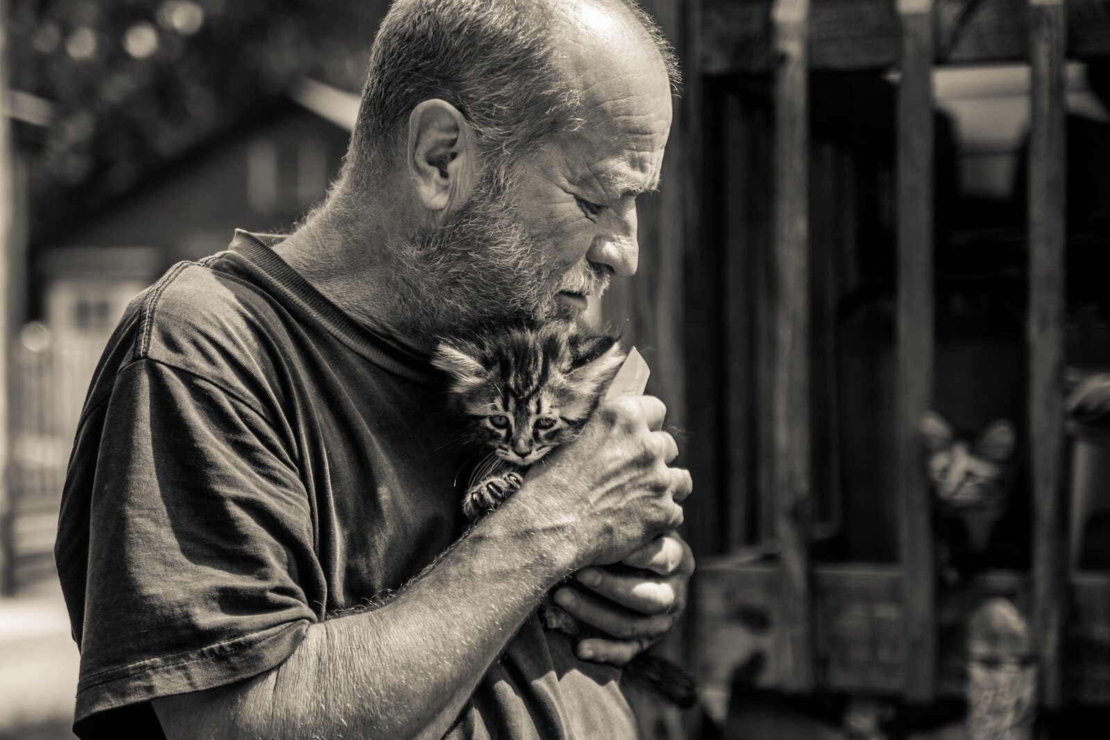 On another photo shoot in her neighborhood, a man came out and asked if she wanted a kitten. This photo drew new owners of several of the litter.