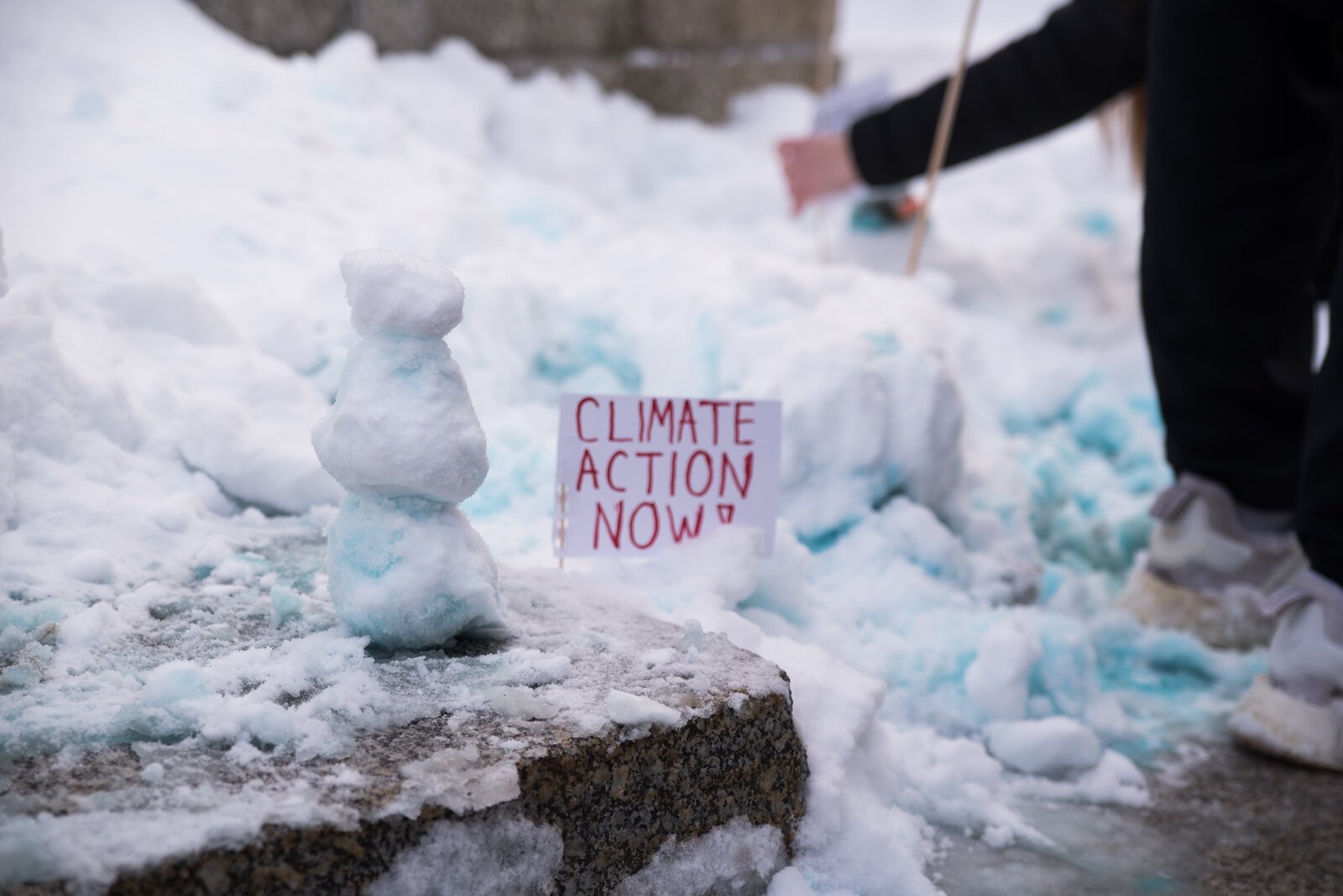 Students built mini snowpeople throughout Bronson Park and on the steps of City Hall.
