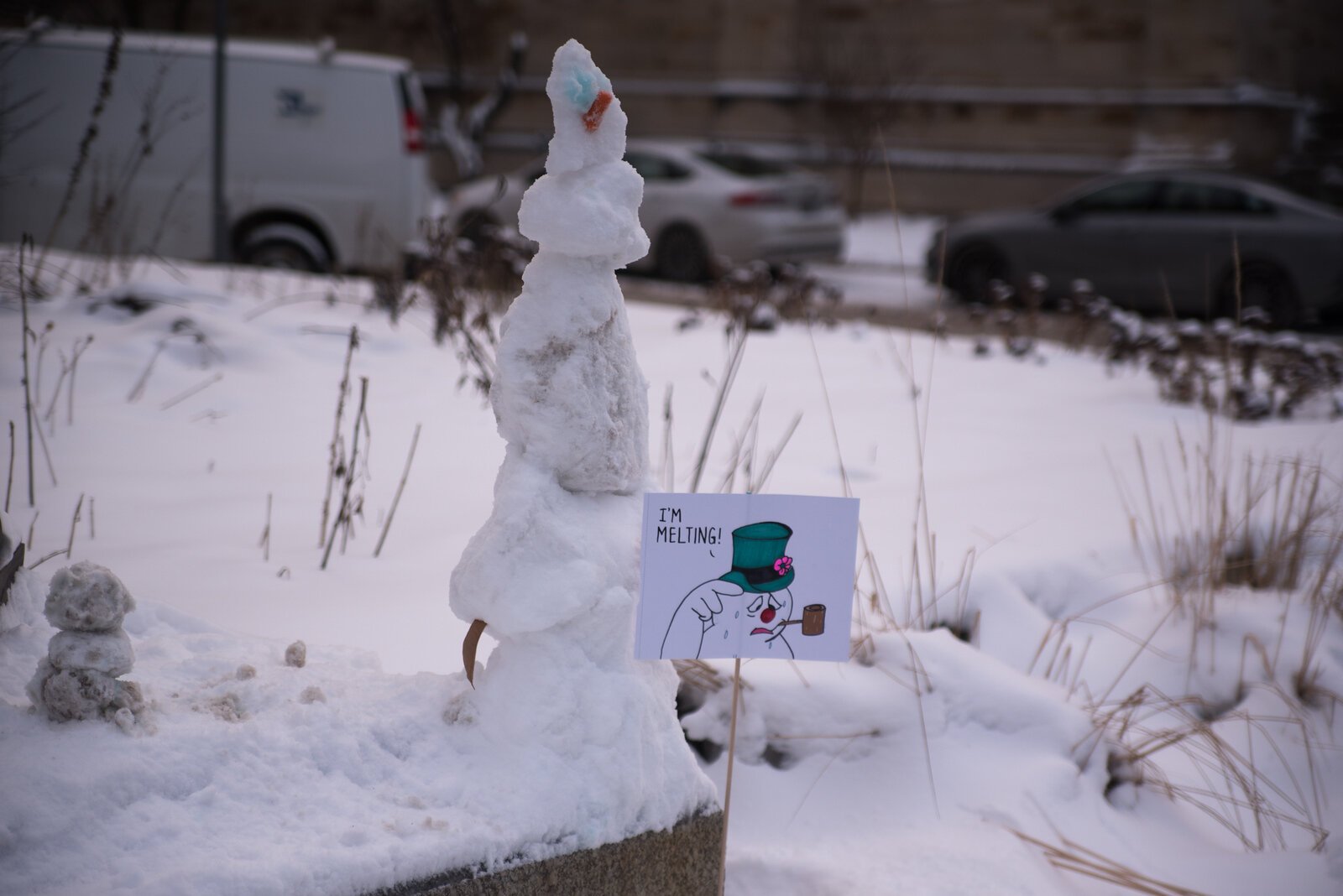 Students built mini snowpeople throughout Bronson Park and on the steps of City Hall.