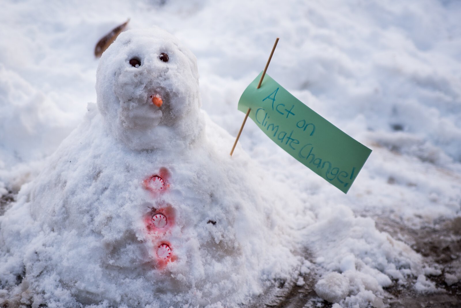 Activists used signs to convey various messages on the urgency of climate action to the public.