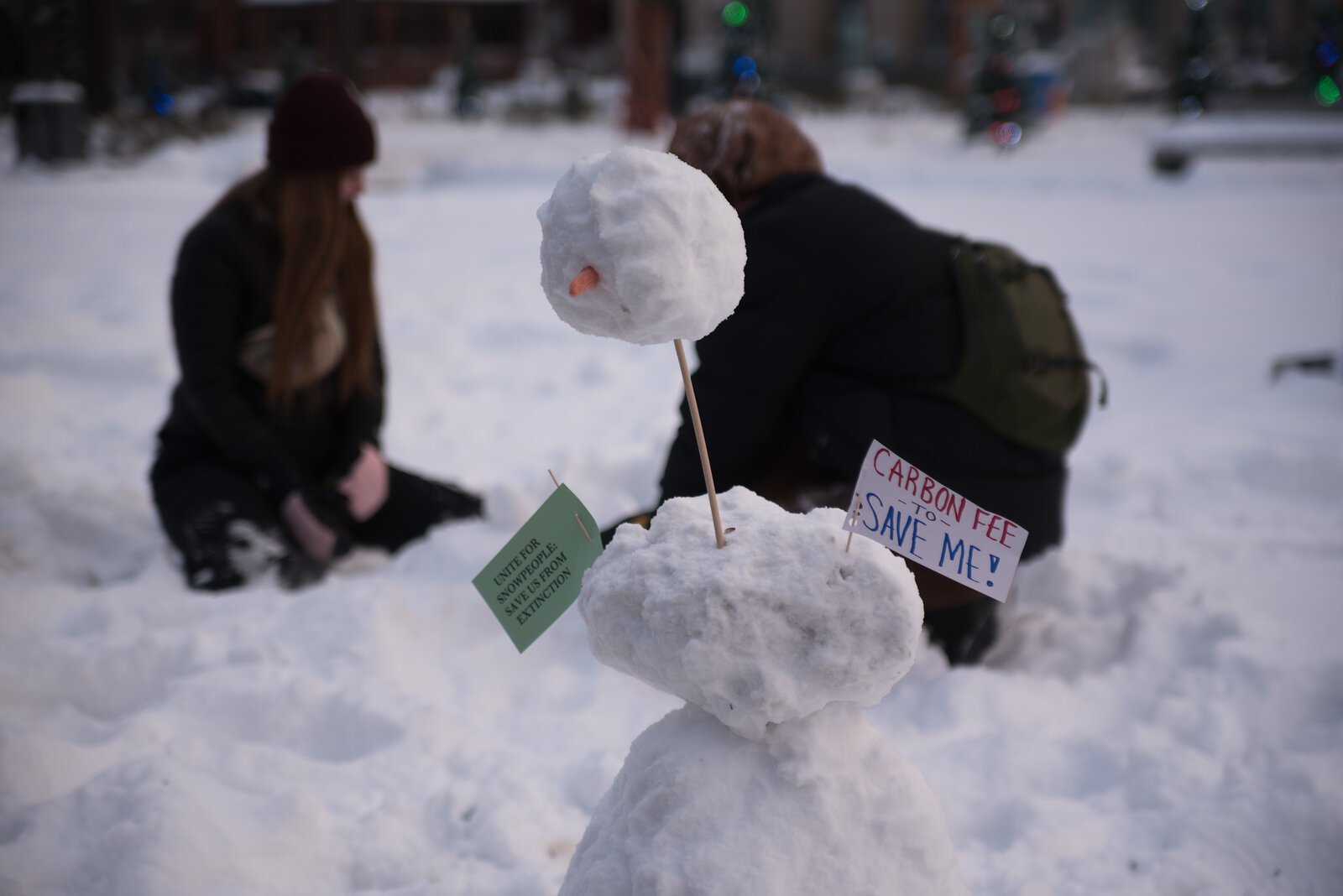 Students built mini snowpeople throughout Bronson Park and on the steps of City Hall.
